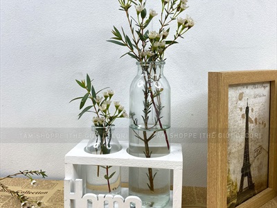 Bộ khung gỗ chữ nhật kèm lọ thuỷ tinh cắm hoa thuỷ canh [3 màu - 3 size] BINHLOHOA-05